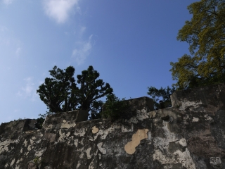 P1040857